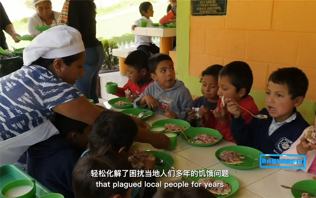 藜麥的蹤跡遍布北美、歐洲、亞洲和非洲多地