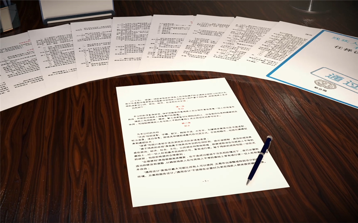 2006年12月，《殘疾人權利公約》在聯合國大會獲得通過