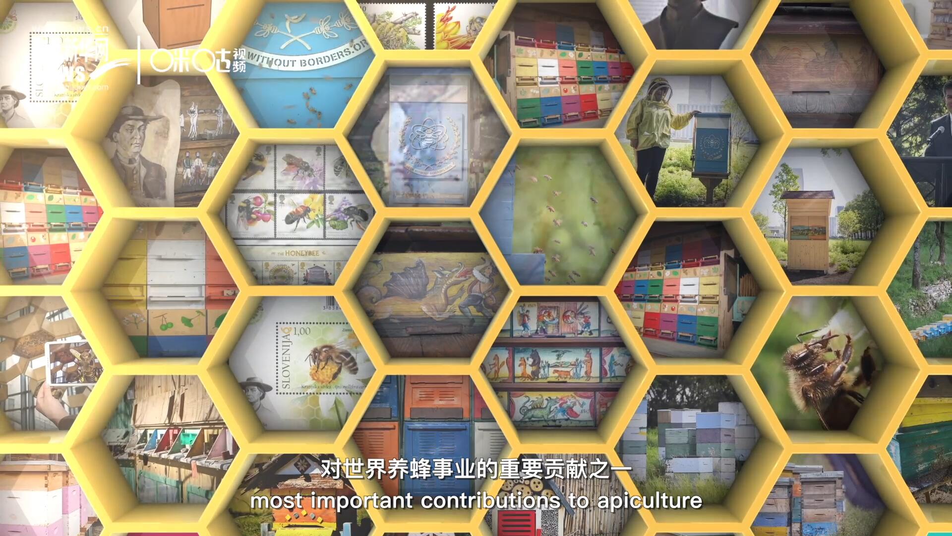 他開(kāi)始用色彩豐富的畫(huà)作來(lái)裝飾蜂巢的前板，幫助不同蜂群按照習(xí)性和顏色順利找到自己的蜂巢