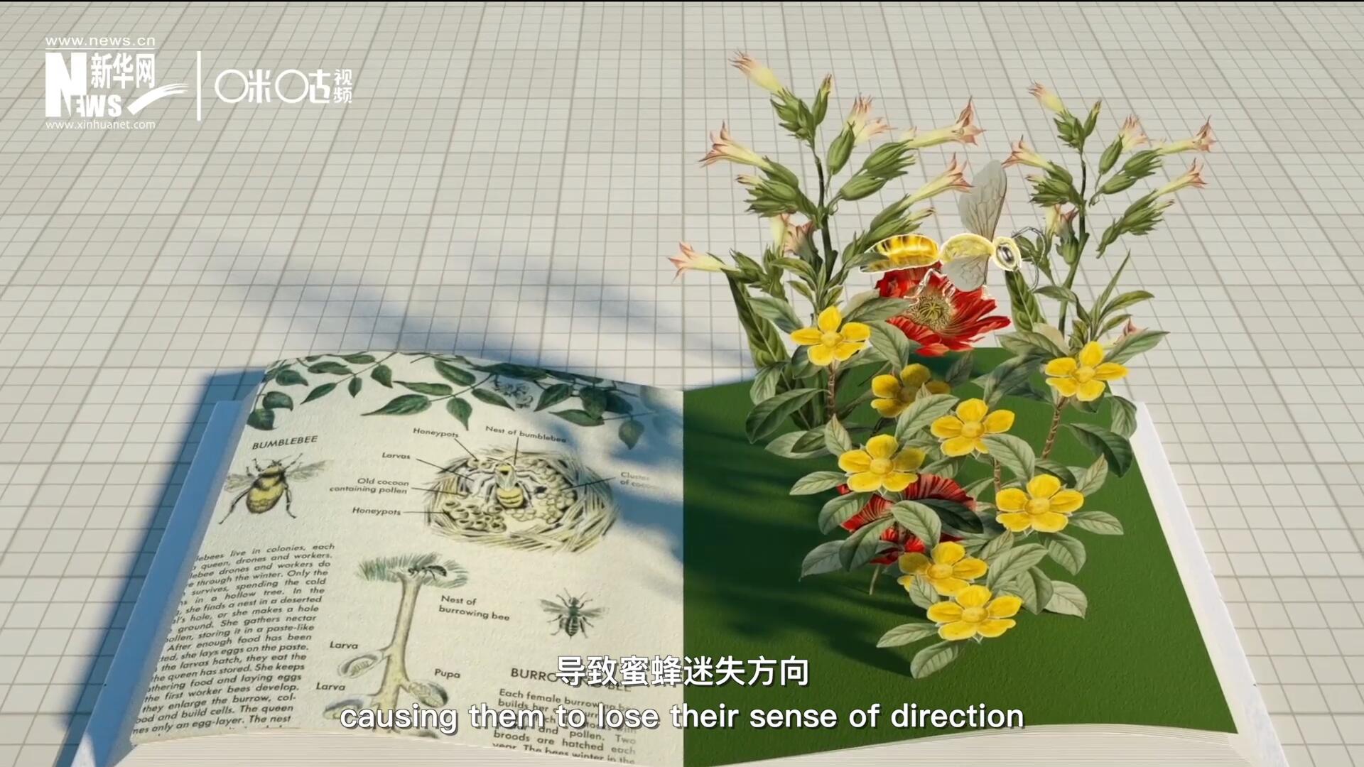 殺蟲(chóng)劑會(huì)破壞蜜蜂的神經(jīng)系統(tǒng)，導(dǎo)致蜜蜂迷失方向，無(wú)法回到蜂房，還會(huì)降低蜜蜂的抵抗力