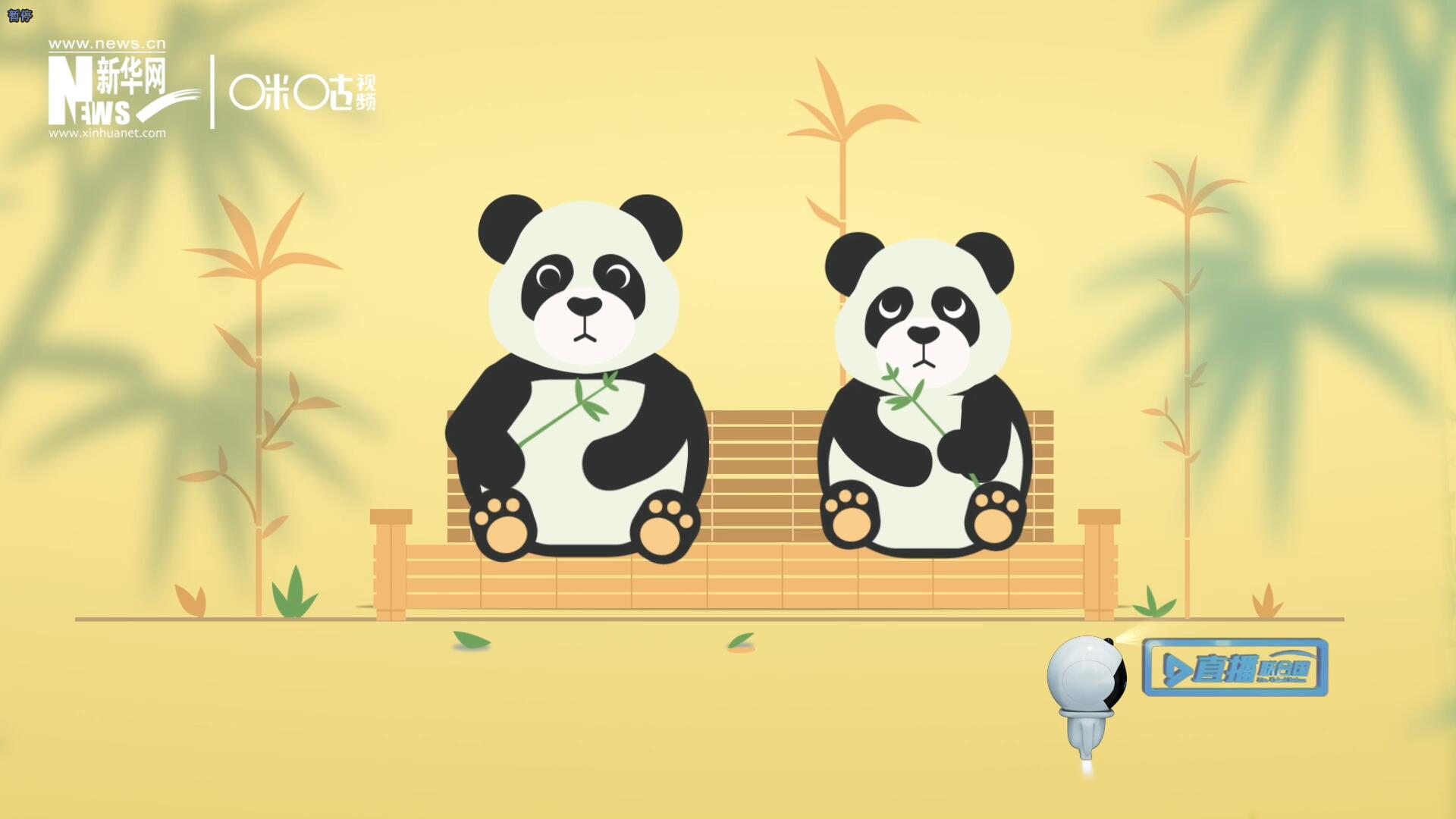 &ldquo;哥哥你看，又有人來看我們了。&rdquo;&ldquo;有什么奇怪的，我們可是聯(lián)合國&lsquo;最萌&rsquo;的大使??！&rdquo;。