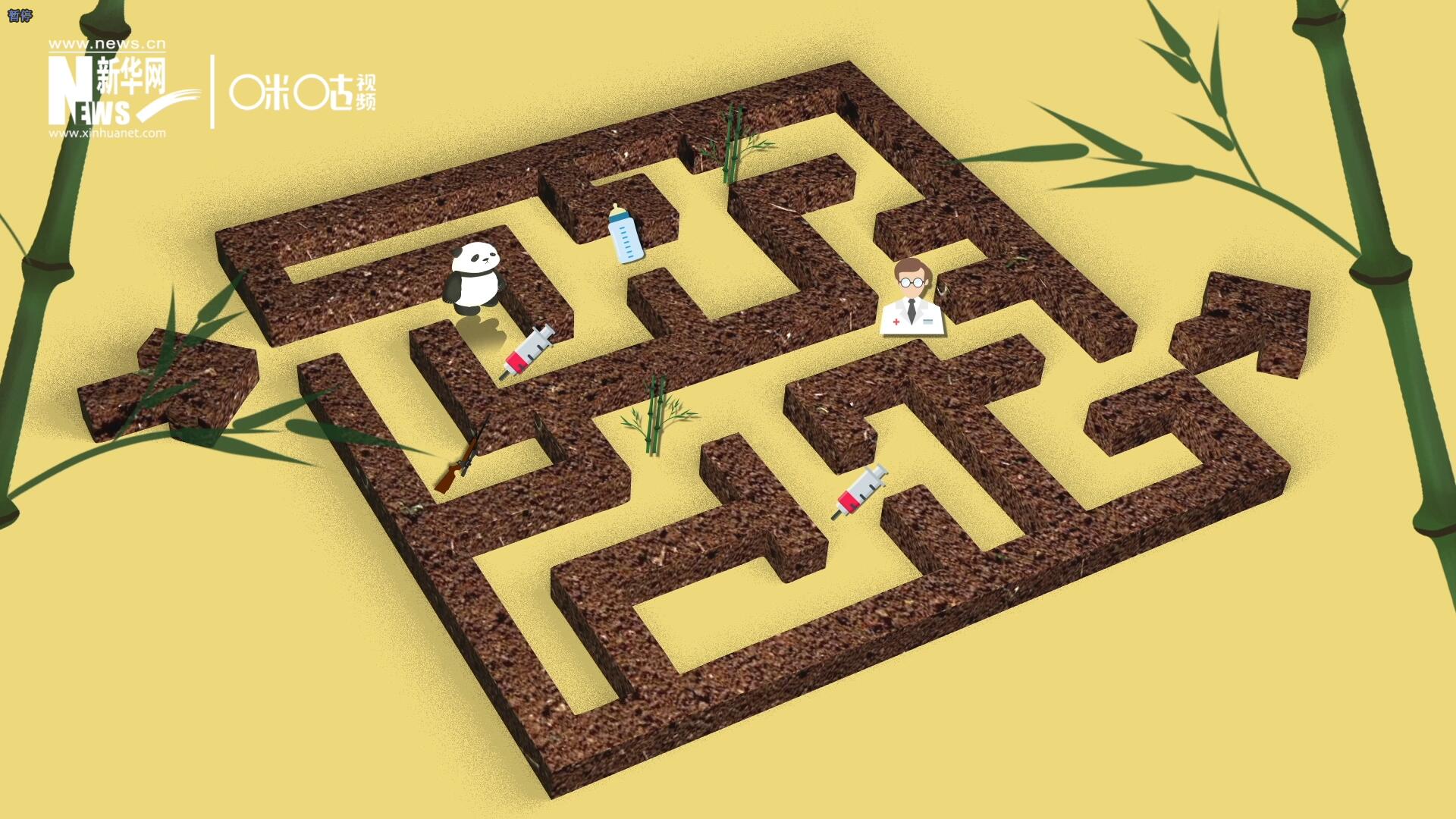 2016年，國際自然保護(hù)聯(lián)盟將大熊貓的物種瀕危等級，從&ldquo;瀕危&rdquo;下降到了&ldquo;易危&rdquo;。