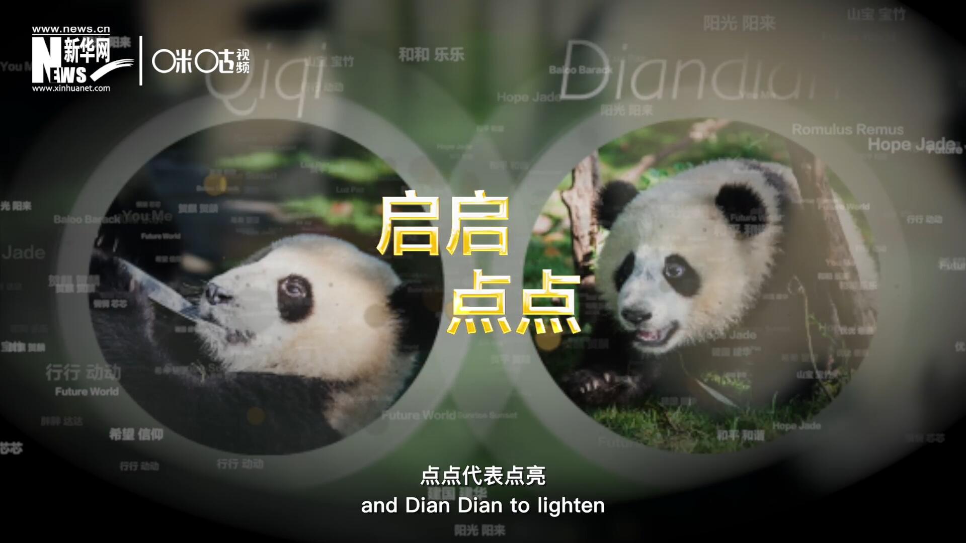 啟啟代表&ldquo;啟發(fā)&rdquo;，點(diǎn)點(diǎn)代表&ldquo;點(diǎn)亮&rdquo;，象征著2030年可持續(xù)發(fā)展議程 的&ldquo;起點(diǎn)&rdquo;，也象征著全球可持續(xù)發(fā)展路徑的新起點(diǎn)。