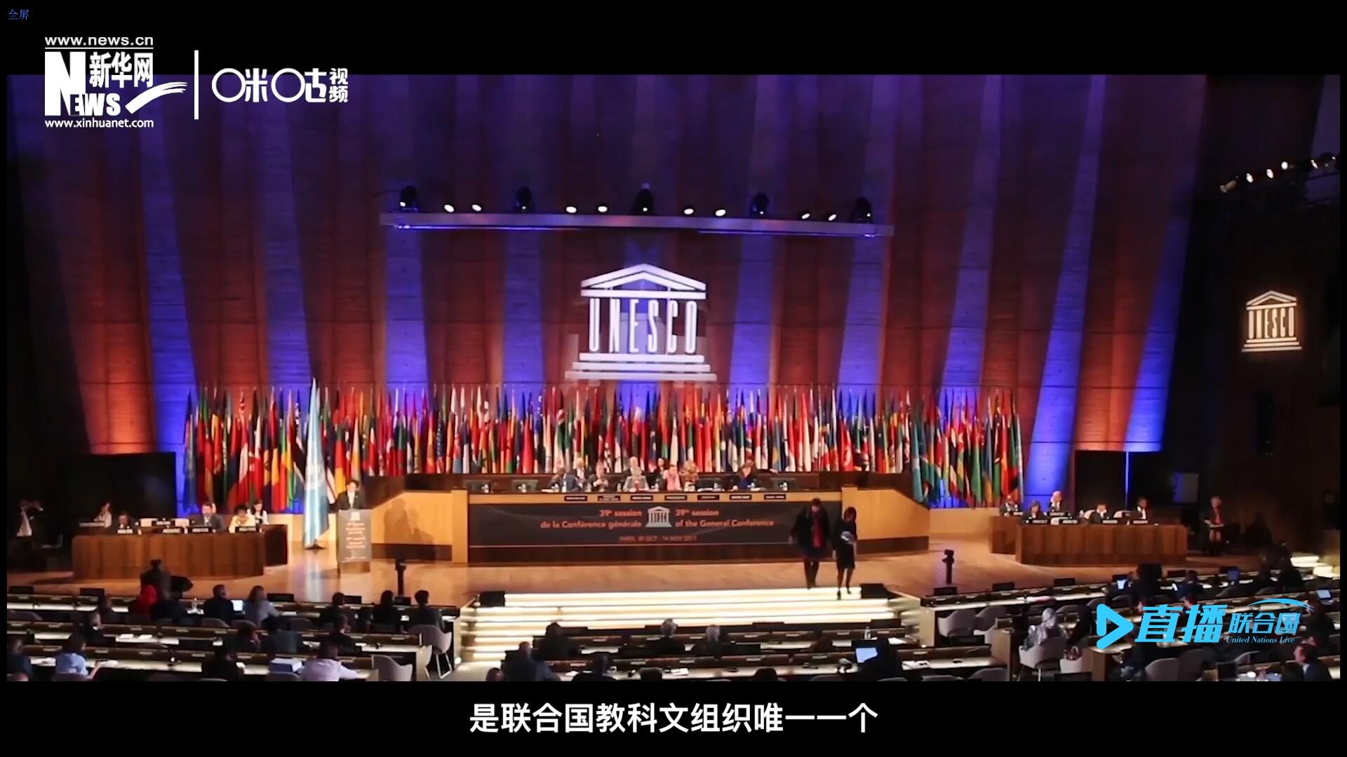 民間藝術(shù)國(guó)際組織成立于1979年，是聯(lián)合國(guó)教科文組織唯一一個(gè)以保護(hù)和挖掘國(guó)際民間藝術(shù)為工作中心的國(guó)際機(jī)構(gòu)。