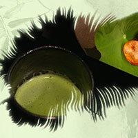 熱茶與伏天的關(guān)系，只有清涼