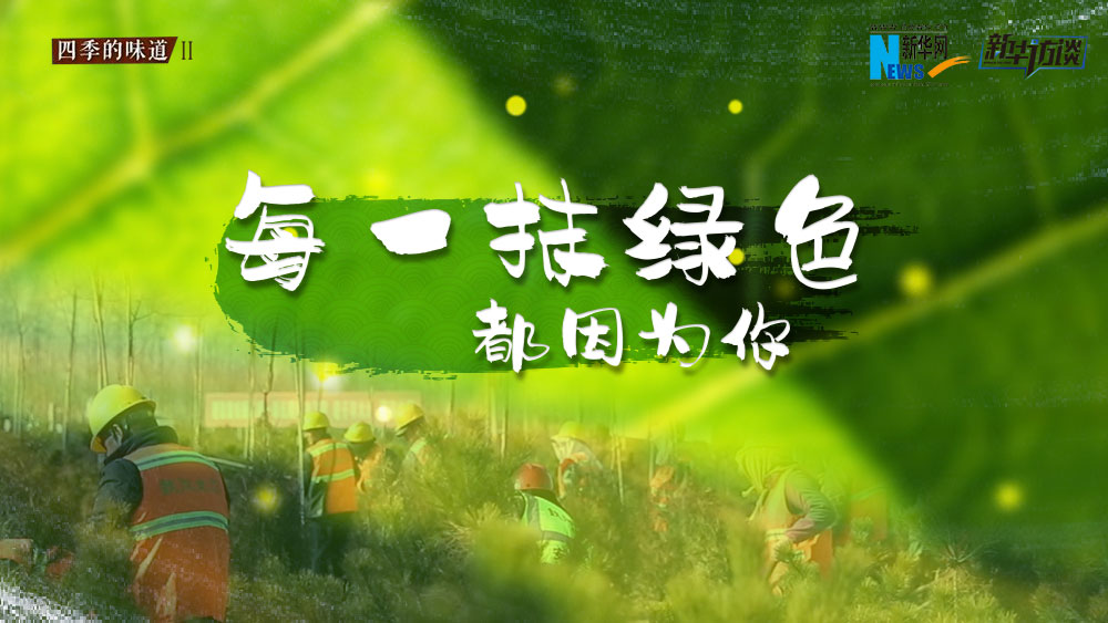 千年秀林，每一抹綠色都因?yàn)槟? /></p>
<p class=