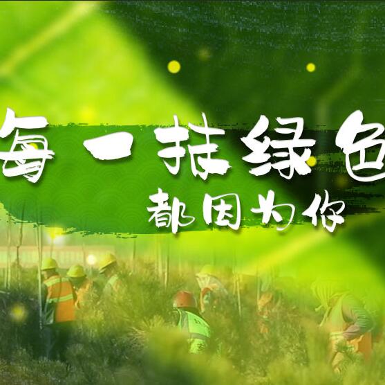 千年秀林，每一抹綠色都因為你