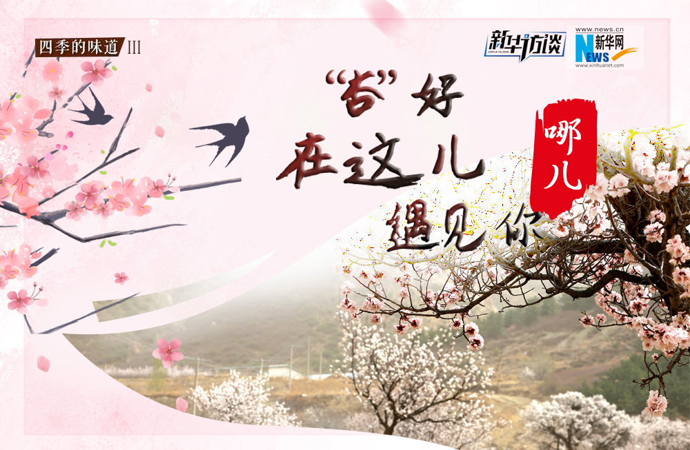 哪兒？&ldquo;杏&rdquo;好在這兒遇見你！