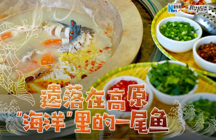 遺落在高原&ldquo;海洋&rdquo;里的一尾魚(yú)