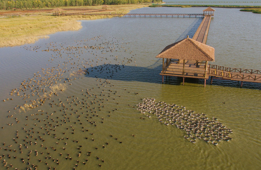 新華微評(píng)&middot;學(xué)習(xí)路上：生態(tài)興，百業(yè)旺