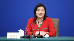 全國(guó)政協(xié)委員、全國(guó)工商聯(lián)執(zhí)行委員會(huì)常委、藍(lán)思科技股份有限公司董事長(zhǎng) 周群飛