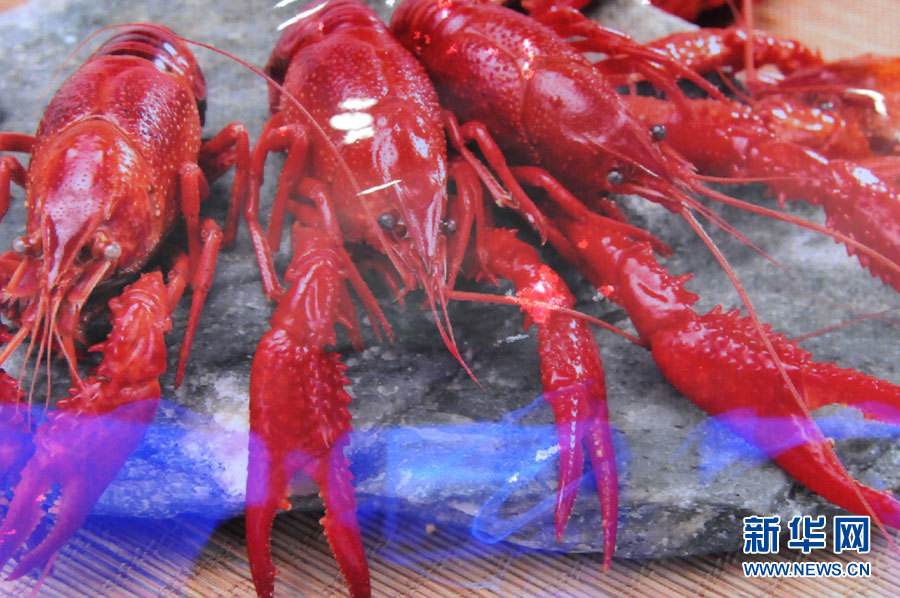 螺螄殼里做道場，小龍蝦吃出大產業(yè)