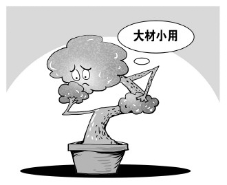 自認(rèn)&ldquo;大材小用&rdquo;，不如腳踏實(shí)地