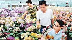 臺(tái)商眼中的改革開放：風(fēng)景這邊獨(dú)好 要去，要去，要去！