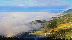 臺(tái)胞臺(tái)商熱議陜西惠臺(tái)&ldquo;60條&rdquo;：期盼落實(shí)、共享機(jī)遇