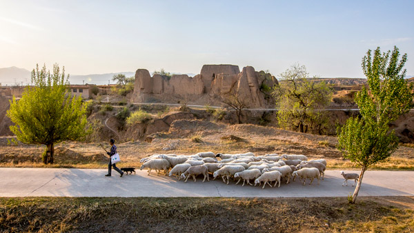 追夢(mèng)足跡｜上馬圈：鐵馬冰河，黃土斑駁