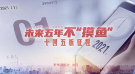 未來五年，不&ldquo;摸魚&rdquo;