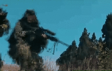 突入，擊斃！直擊武警特戰(zhàn)反劫持演練！