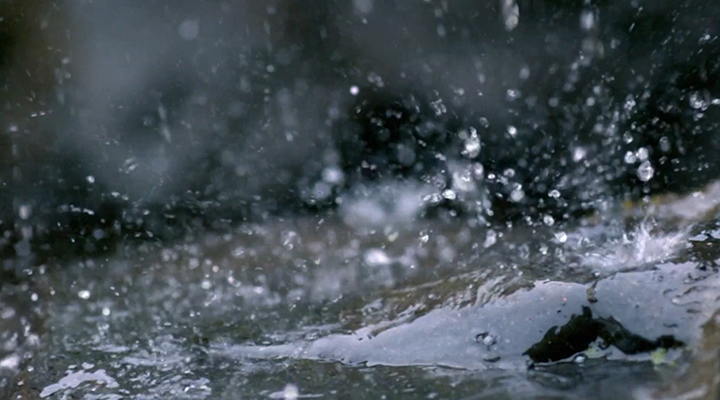 城市內澇暴雨避險指南來了！