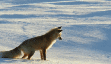 寒潮再襲 網(wǎng)友靈魂拷問：這么冷為何還不下雪？