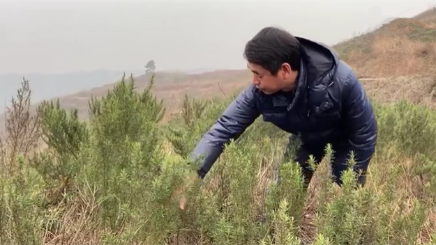 新春走基層｜脫貧后，駐村扶貧隊長在干啥？