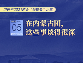 習(xí)近平2021兩會&ldquo;微鏡頭&rdquo;之三 3月5日 在內(nèi)蒙古團(tuán)，這些事談得很深