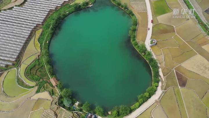 稻田新插，這里的山村美翻了！