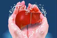 【健康解碼】轉(zhuǎn)氨酶正常肝臟就一定正常嗎？