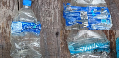 圖為社交網站上傳的在留尼汪島上發(fā)現(xiàn)的印尼產水瓶。