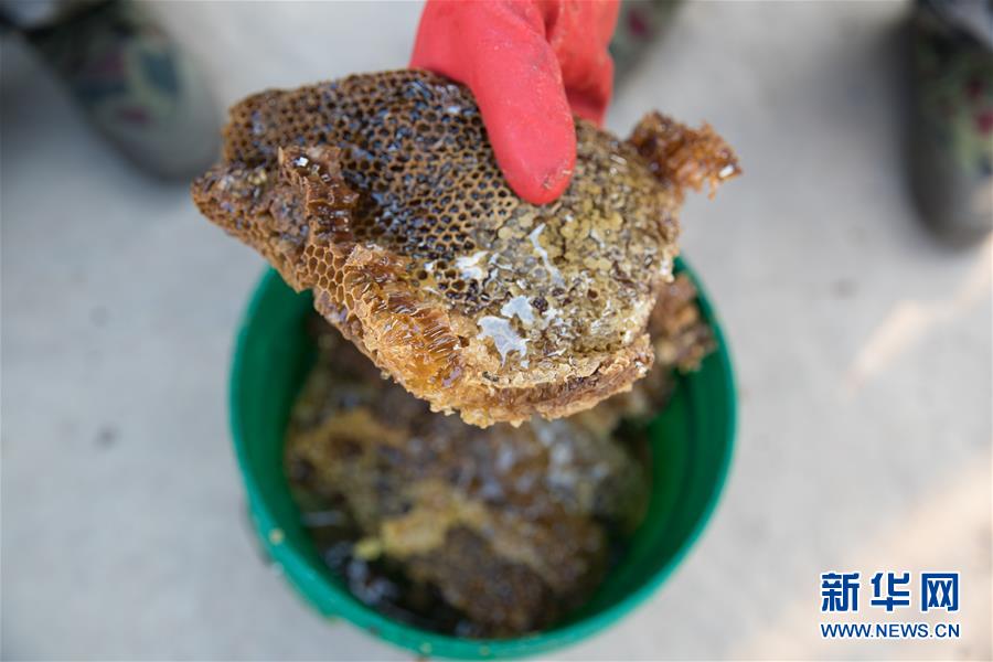 （國際&middot;聚焦進(jìn)口博覽會&middot;圖文互動(dòng)）（7）通訊：贊比亞蜂蜜企業(yè)欲借進(jìn)博會開拓中國市場