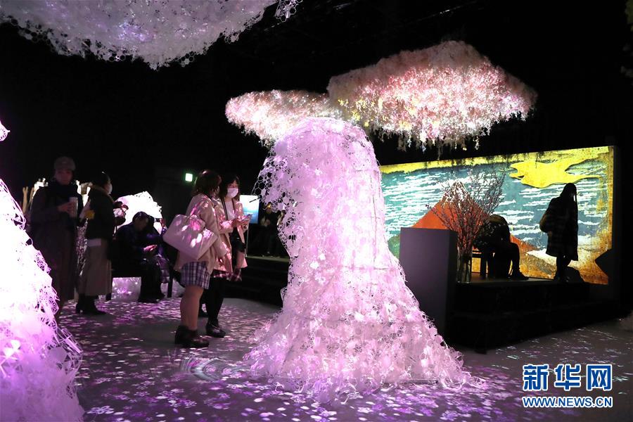 （國際）（1）日本東京：寒冬時節(jié)賞&ldquo;繁花&rdquo; 