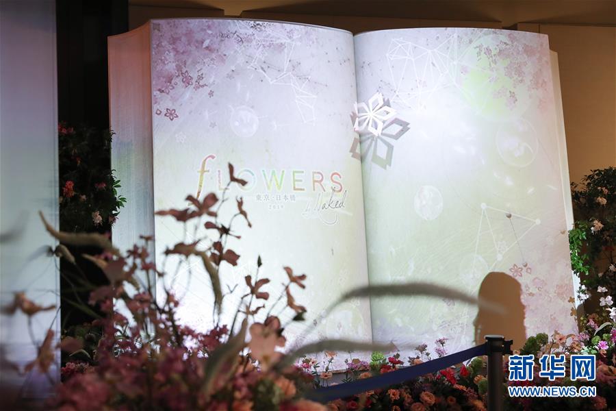 （國際）（6）日本東京：寒冬時節(jié)賞&ldquo;繁花&rdquo; 