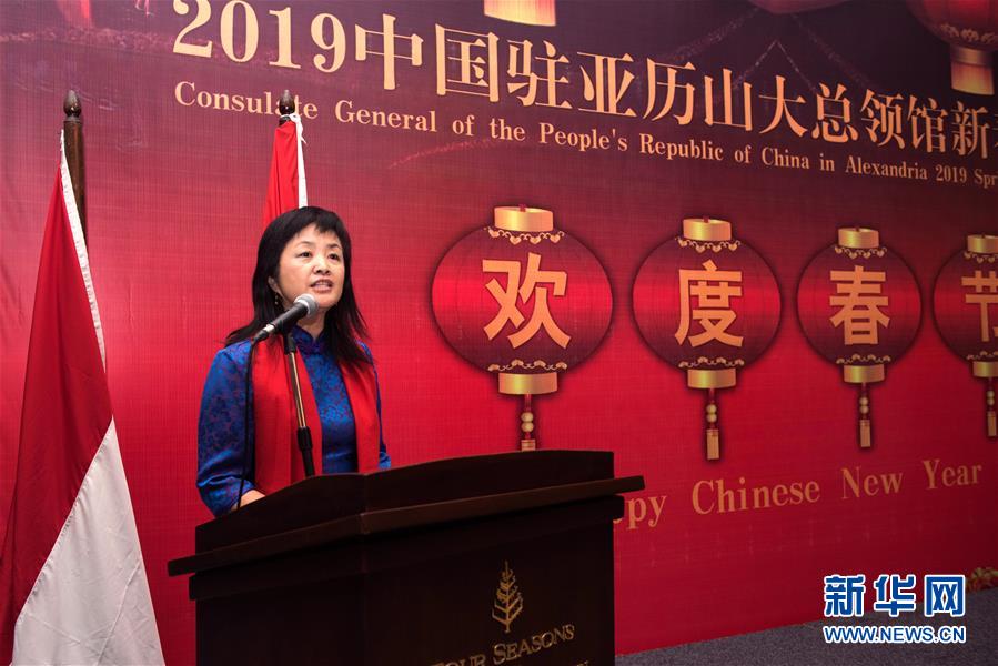 （XHDW&middot;圖文互動）（3）五湖迎亥歲　四海賀新春&mdash;&mdash;我駐外使領館舉辦新春招待會喜迎農(nóng)歷新年