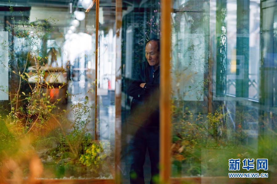 （國際&middot;圖文互動）（4）通訊：敲響半島和平鐘聲&mdash;&mdash;走訪韓朝非軍事區(qū)首爾藝術展