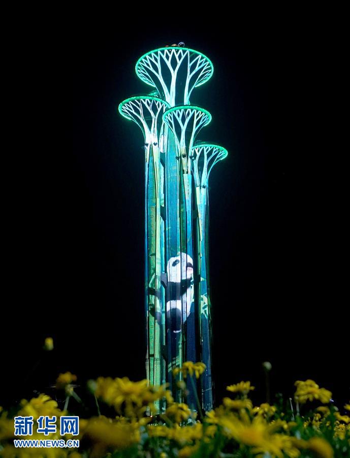 （亞洲文明對話大會）（11）&ldquo;空間光影秀&rdquo;迎盛會