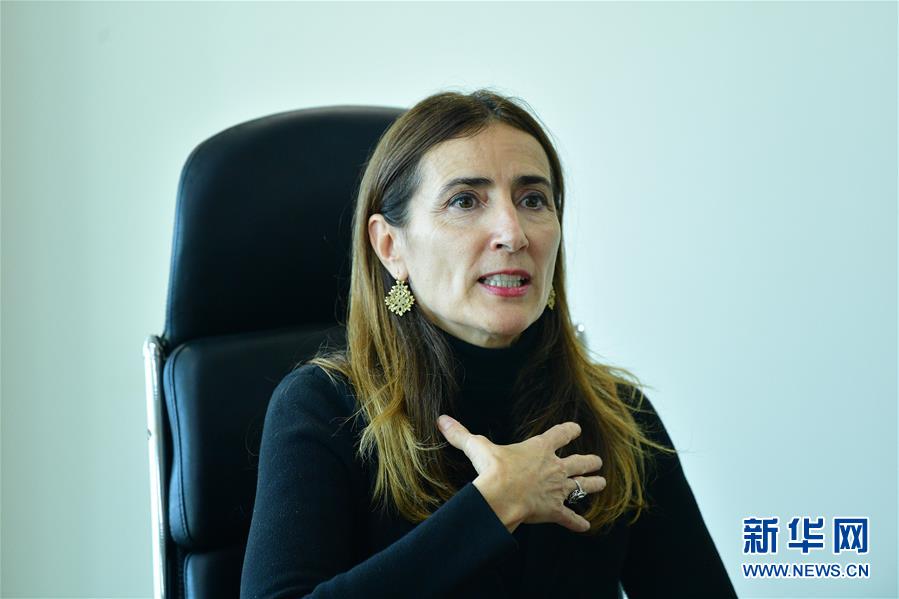 （國際 圖文互動）（1）專訪：應對氣候變化應從談判轉向行動&mdash;&mdash;訪2019年聯(lián)合國氣候變化大會主席施密特