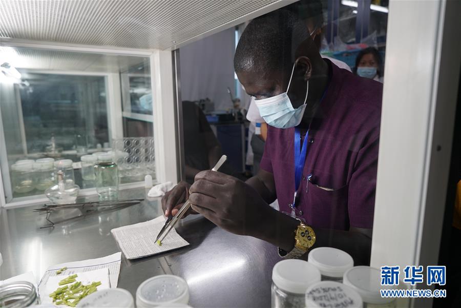 （在習近平新時代中國特色社會主義思想指引下&mdash;&mdash;新時代新作為新篇章&middot;總書記關(guān)切開放事&middot;圖文互動）（8）來中國&ldquo;學(xué)種地&rdquo;的&ldquo;洋學(xué)生&rdquo;