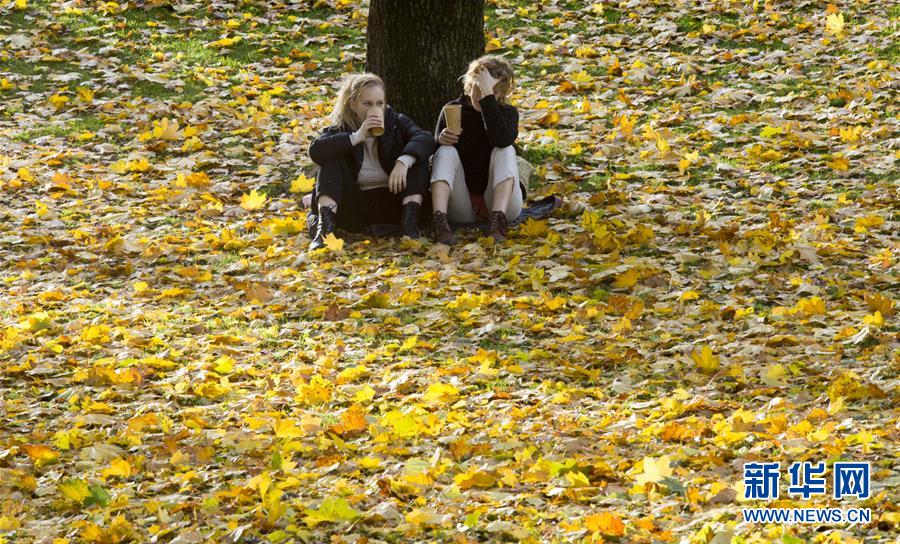 （國際&middot;年終報(bào)道）（8）&ldquo;回味&rdquo;2019