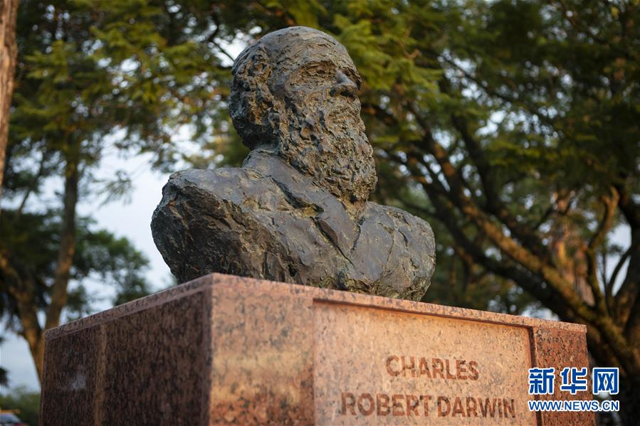 （國(guó)際&middot;圖文互動(dòng)）（1）通訊：一位中國(guó)雕塑家與拉美的不解情緣