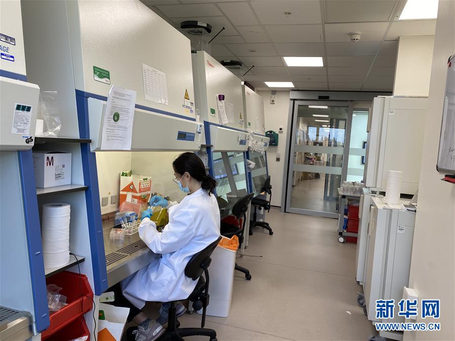 （新華全媒頭條&middot;圖文互動(dòng)）（10）寰球抗疫晝夜間