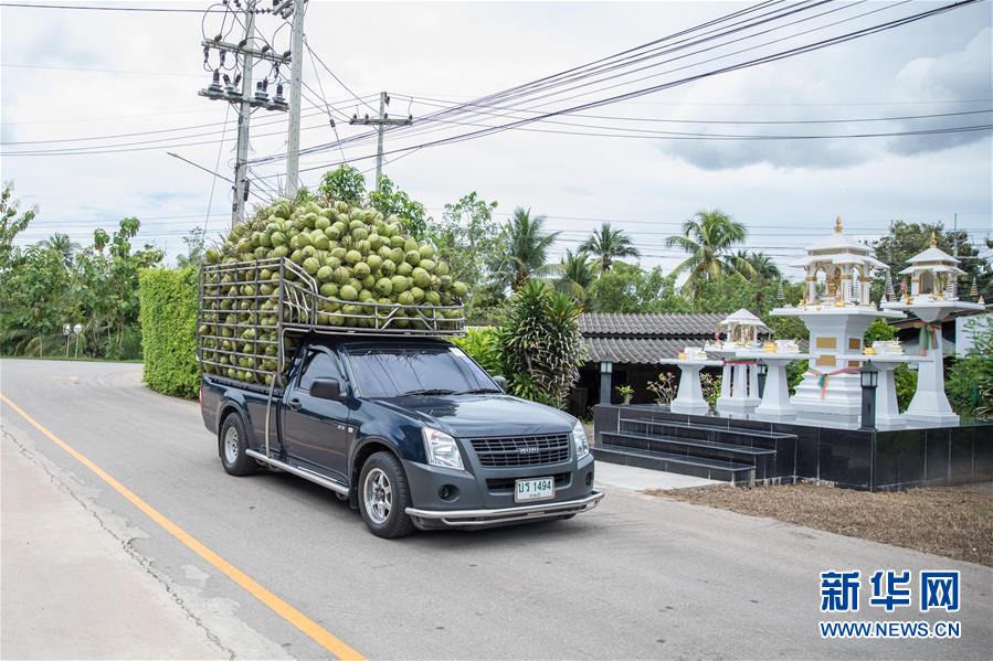 （第三屆進(jìn)博會(huì)&middot;圖文互動(dòng)）（1）通訊：椰香飄進(jìn)進(jìn)博會(huì) 市場(chǎng)開(kāi)放共繁榮&mdash;&mdash;一名泰國(guó)椰商的心聲