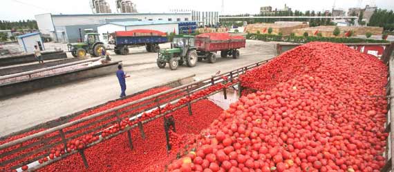 中國推動構建共贏、互信、發(fā)展的新絲綢之路