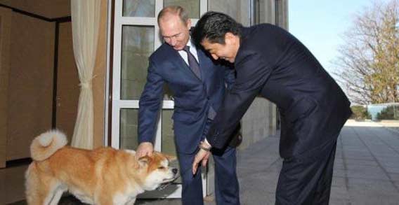 日本&ldquo;矮子外交&rdquo;貽笑世人