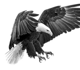 誰(shuí)是世界秩序的真正破壞者？