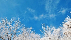 湖北?？蹈呱届F凇美如畫