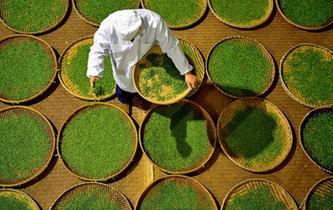 人間至味&ldquo;冷后渾&rdquo;