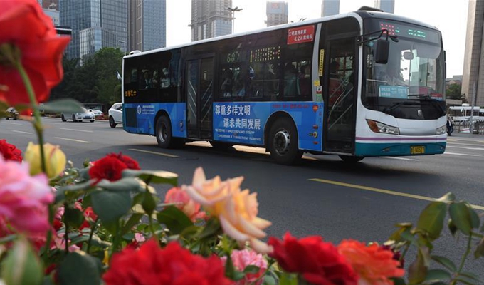 青島歡迎你，上合