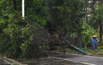 臺(tái)風(fēng)&ldquo;山神&rdquo;登陸海南