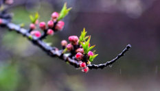 隨心而行，走走停停始終精彩。