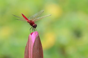 2019，精&ldquo;彩&rdquo;紛呈